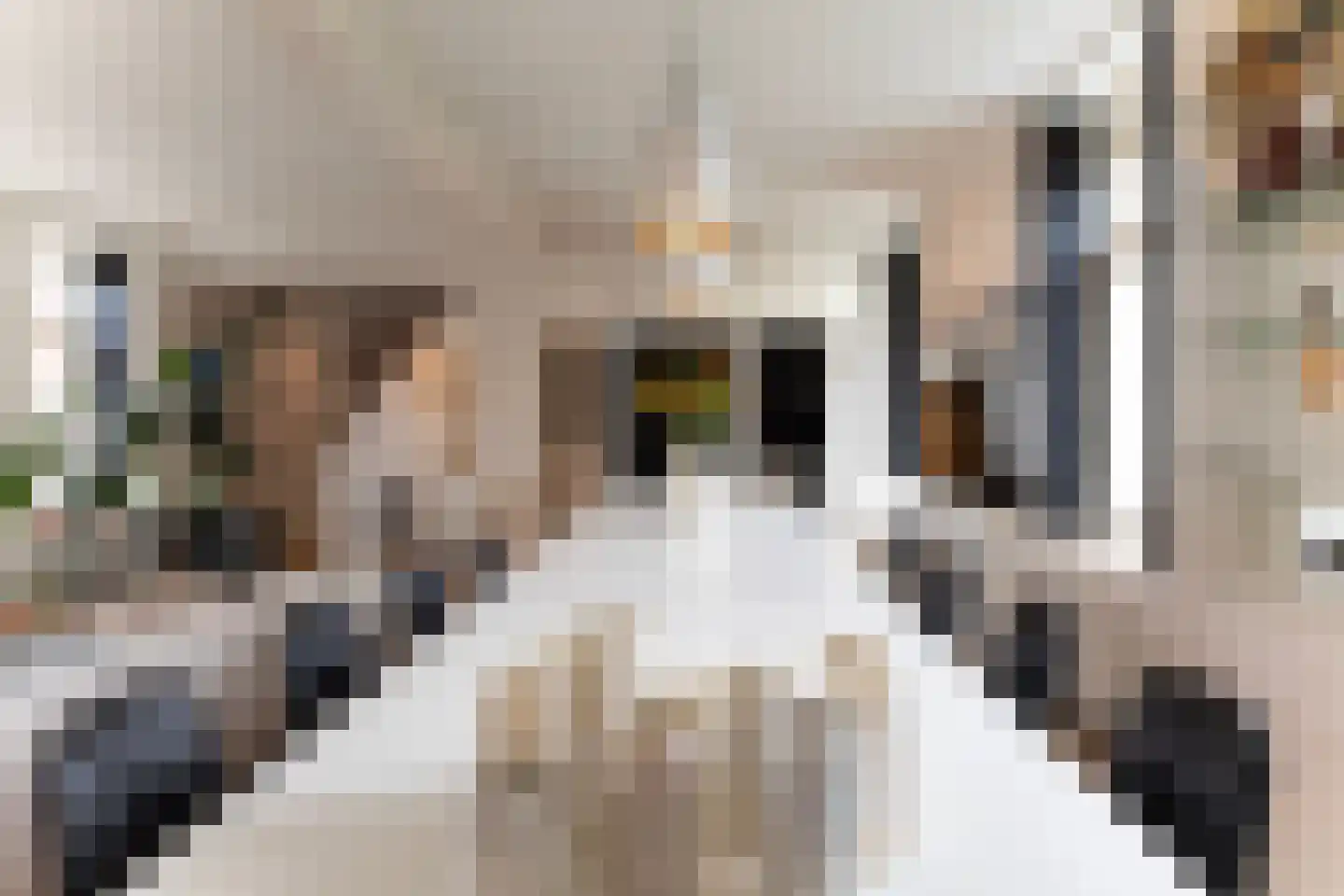 Da Costastraat 33 3 Amsterdam thumbnail 20