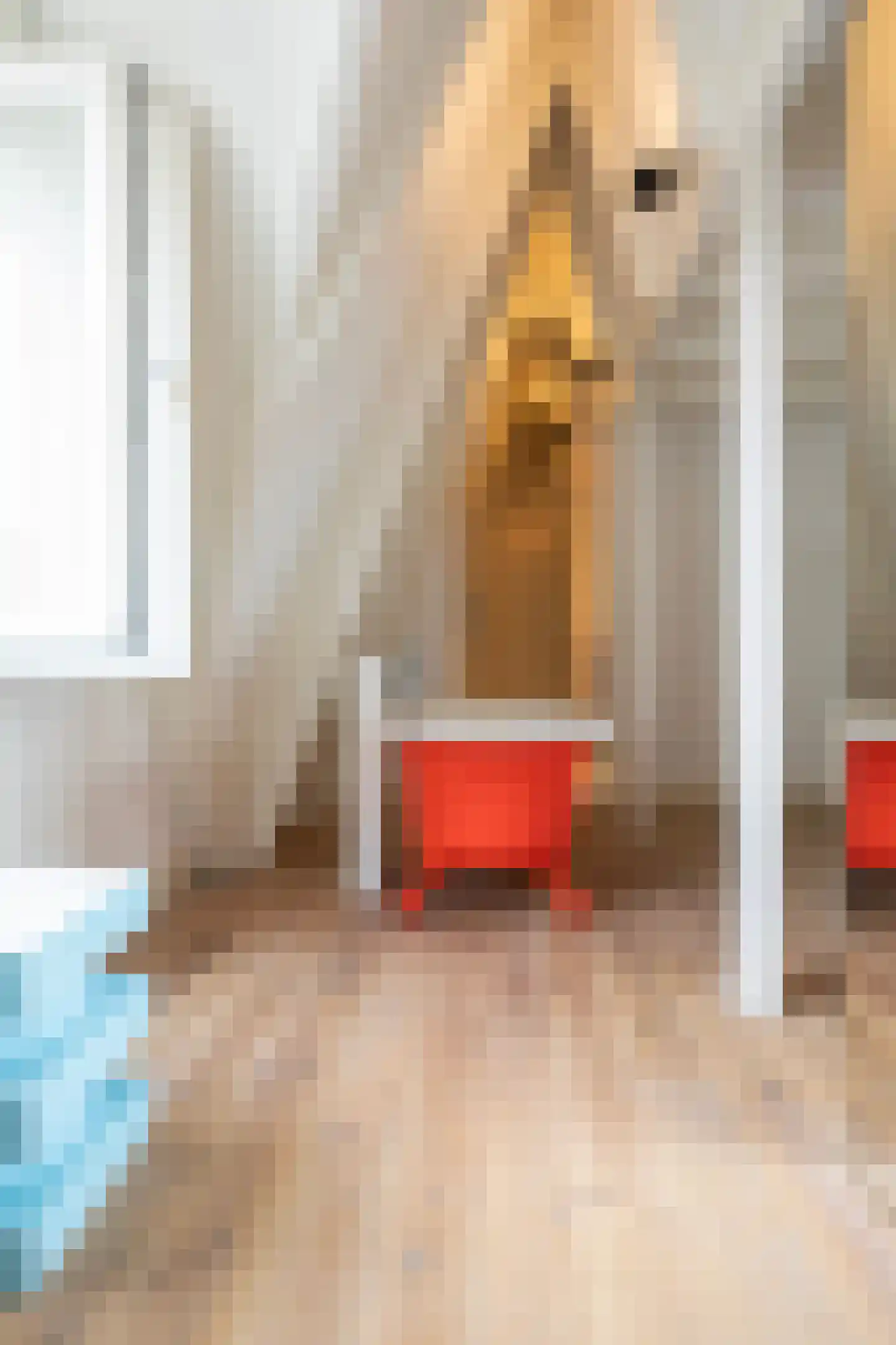 Da Costastraat 33 3 Amsterdam thumbnail 24