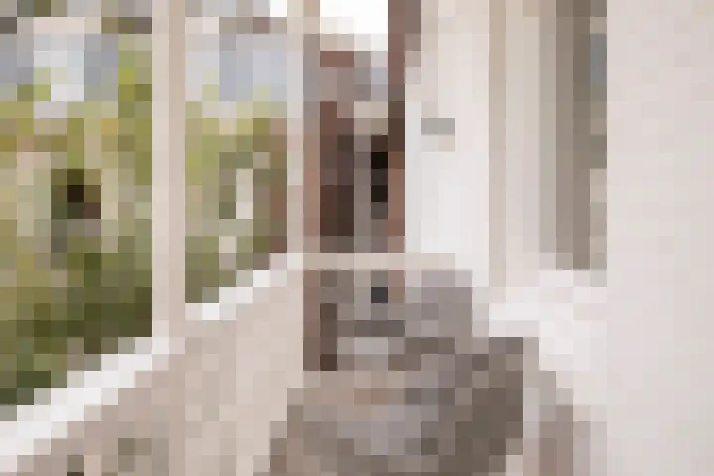 Da Costastraat 33 3 Amsterdam thumbnail 35