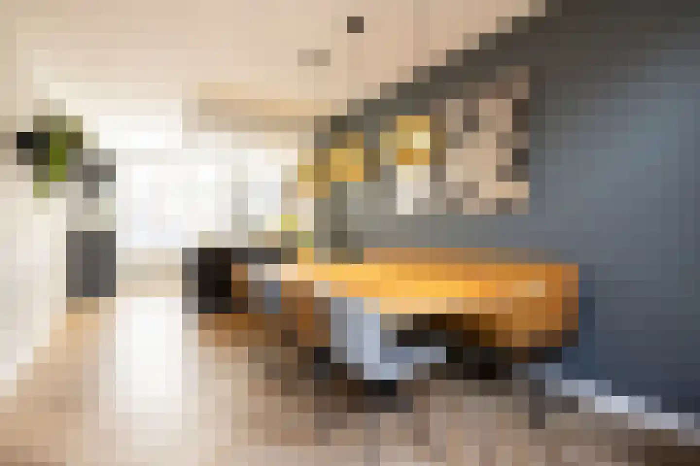 Da Costastraat 38 Haarlem thumbnail 17