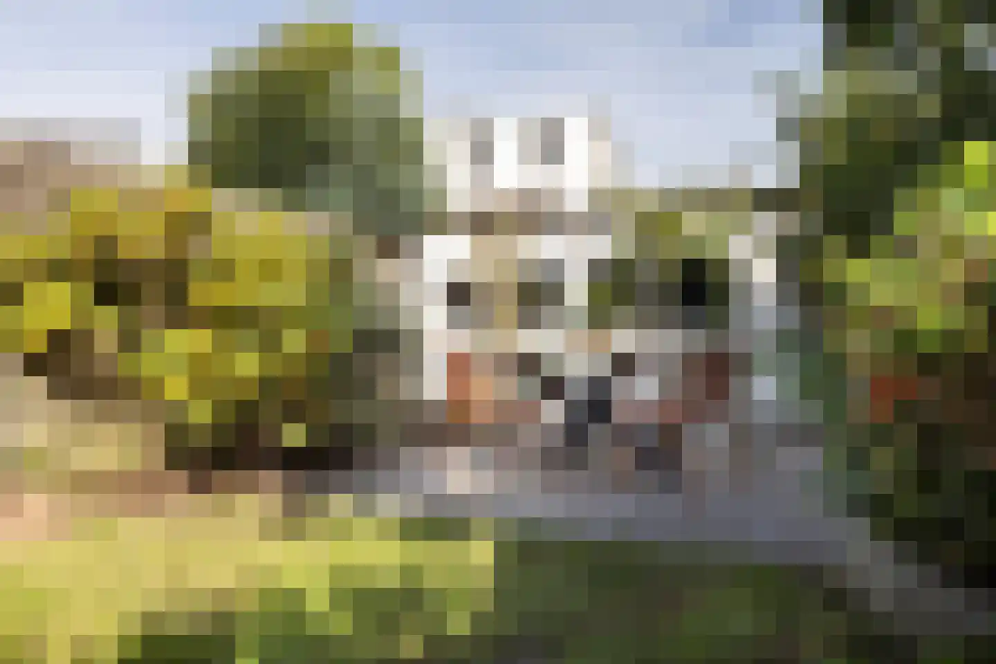 Da Costastraat 38 Haarlem thumbnail 29