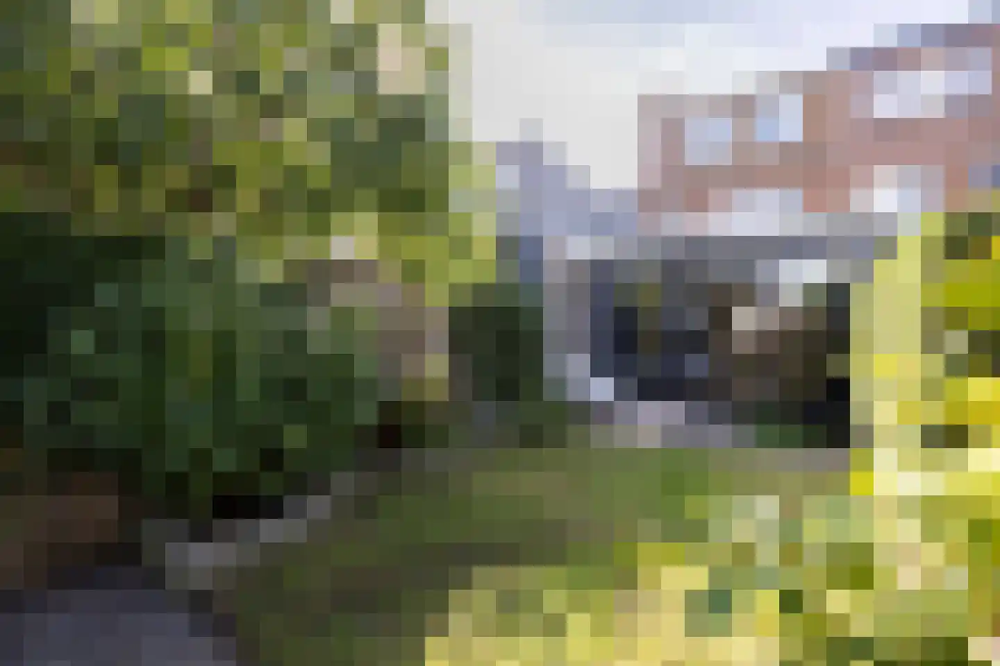 Da Costastraat 38 Haarlem thumbnail 31