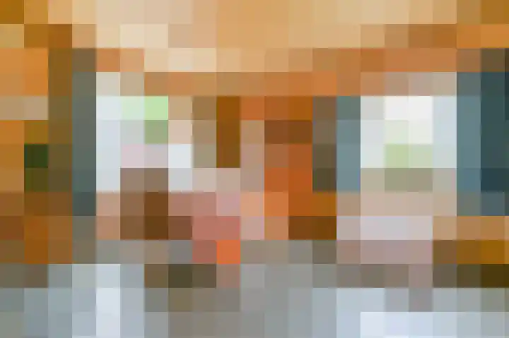 Da Costastraat 4 Putten thumbnail 10
