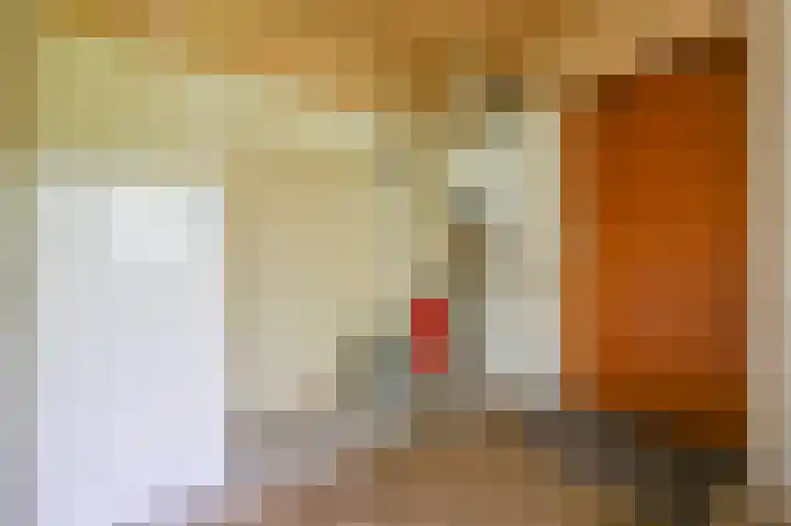 Da Costastraat 4 Putten thumbnail 16