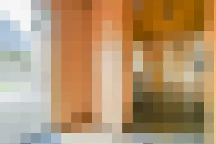 Da Costastraat 4 Putten thumbnail 17