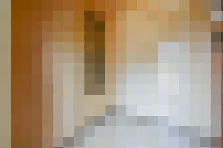 Da Costastraat 4 Putten thumbnail 18