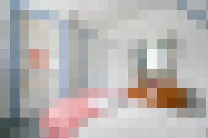 Da Costastraat 4 Putten thumbnail 31