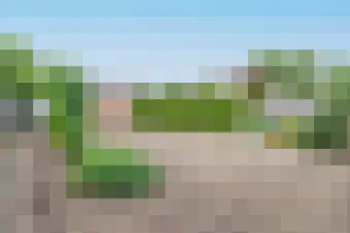 Da Costastraat 4 Putten thumbnail 36