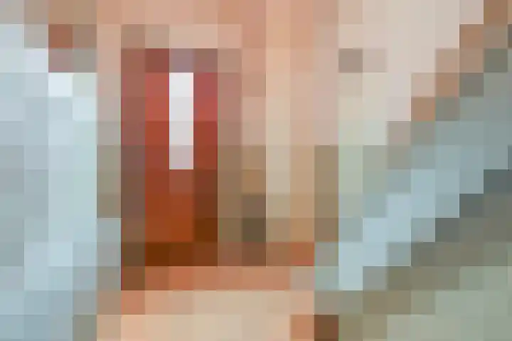 Da Costastraat 4 Putten thumbnail 4