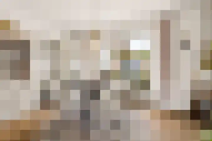 Da Costastraat 4 Rosmalen thumbnail 12