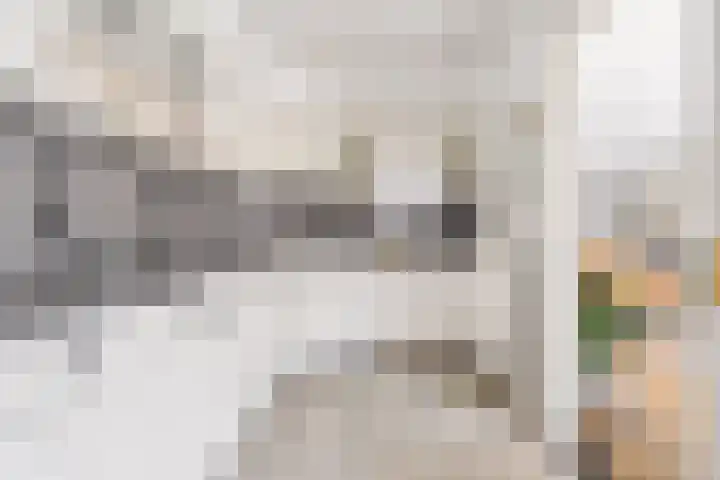 Da Costastraat 4 Rosmalen thumbnail 16