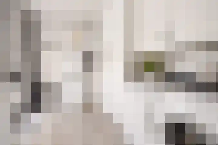Da Costastraat 4 Rosmalen thumbnail 18