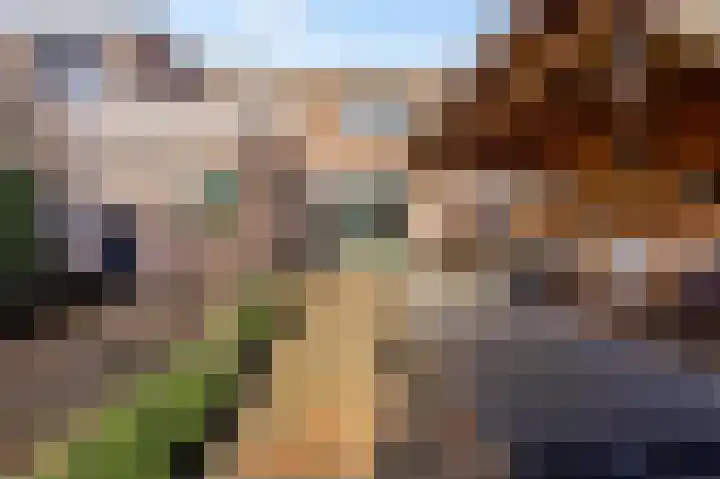 Da Costastraat 4 Rosmalen thumbnail 20