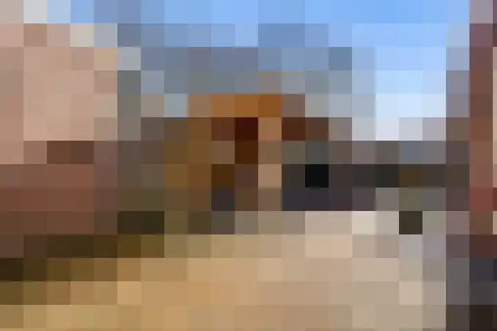 Da Costastraat 4 Rosmalen thumbnail 21