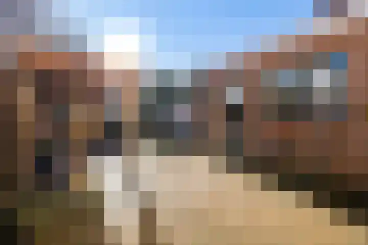 Da Costastraat 4 Rosmalen thumbnail 22
