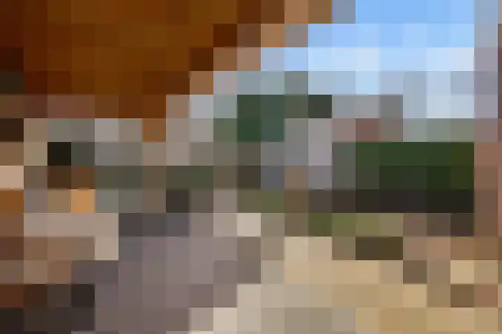 Da Costastraat 4 Rosmalen thumbnail 23