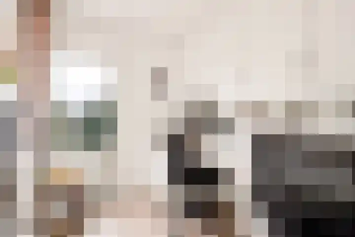 Da Costastraat 4 Rosmalen thumbnail 31