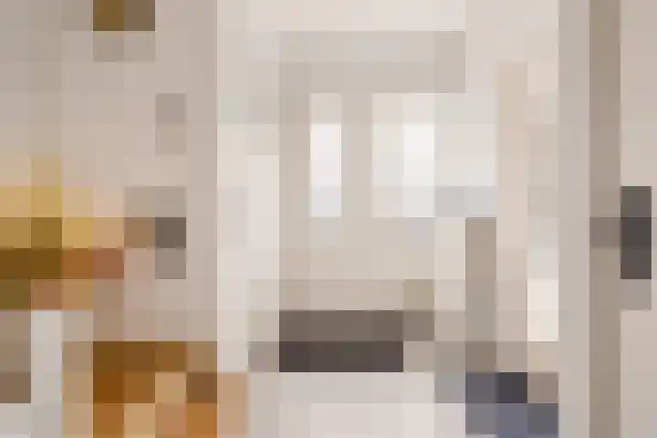 Da Costastraat 4 Rosmalen thumbnail 36