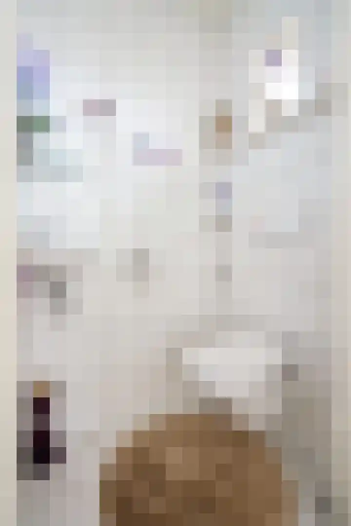 Da Costastraat 4 Rosmalen thumbnail 37