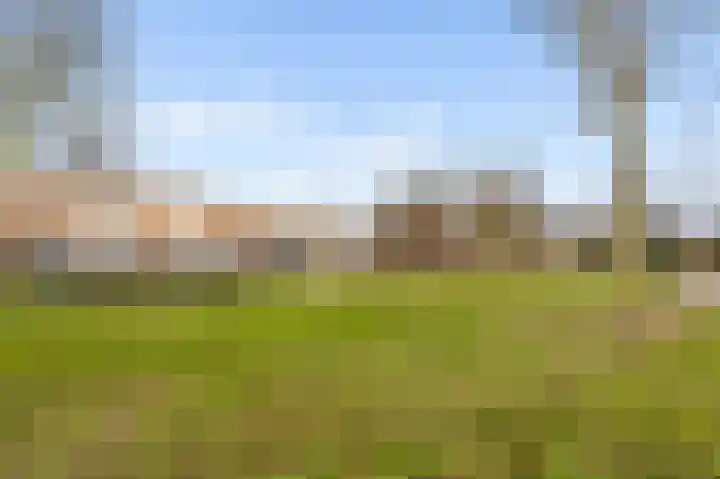 Da Costastraat 4 Rosmalen thumbnail 43