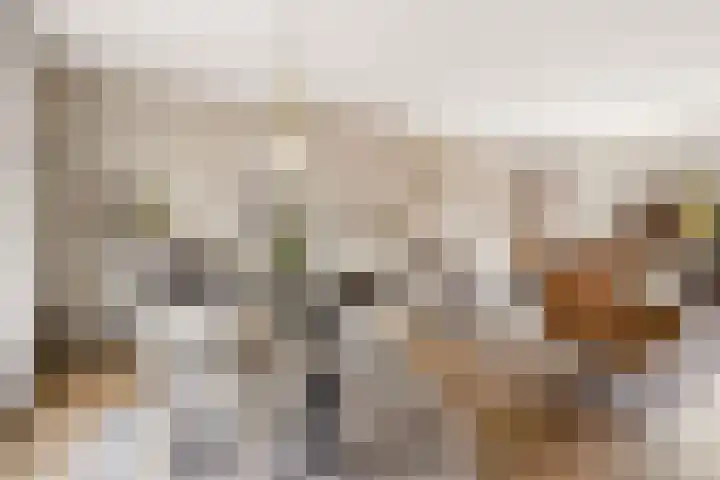 Da Costastraat 4 Rosmalen thumbnail 5