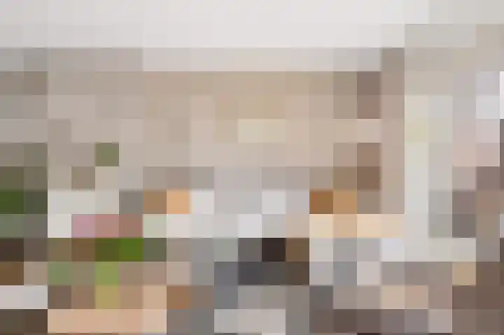 Da Costastraat 4 Rosmalen thumbnail 7