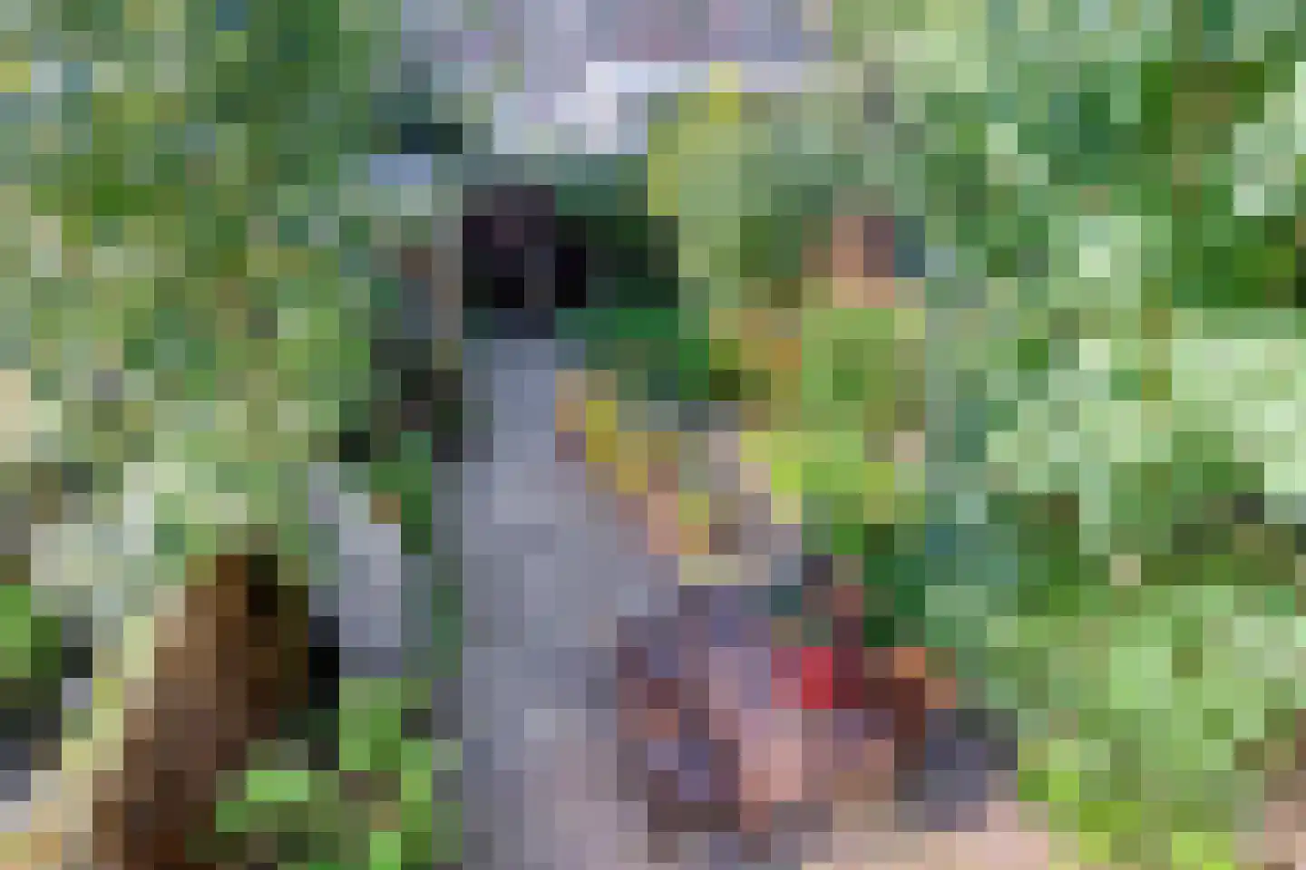 Da Costastraat 41 Leiden thumbnail 5