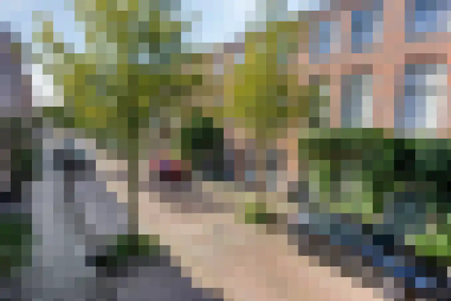 Da Costastraat 41 Leiden thumbnail 59