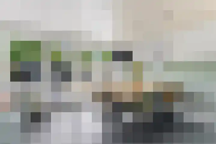 Da Costastraat 42 Alblasserdam thumbnail 37