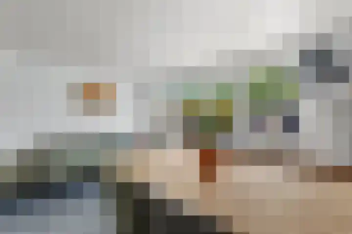 Da Costastraat 42 Alblasserdam thumbnail 38