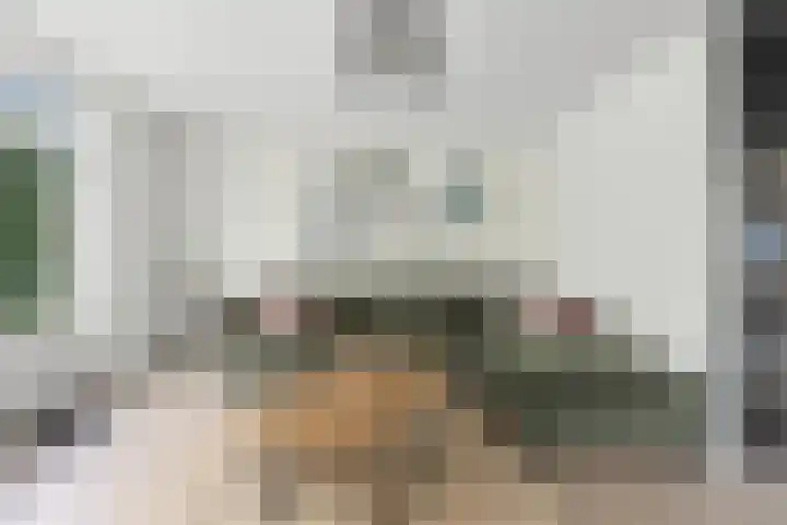 Da Costastraat 42 Alblasserdam thumbnail 5