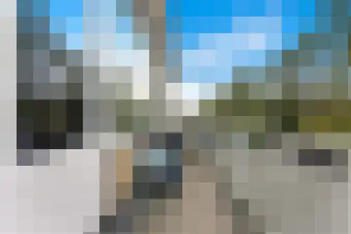 Da Costastraat 42 Alblasserdam thumbnail 6