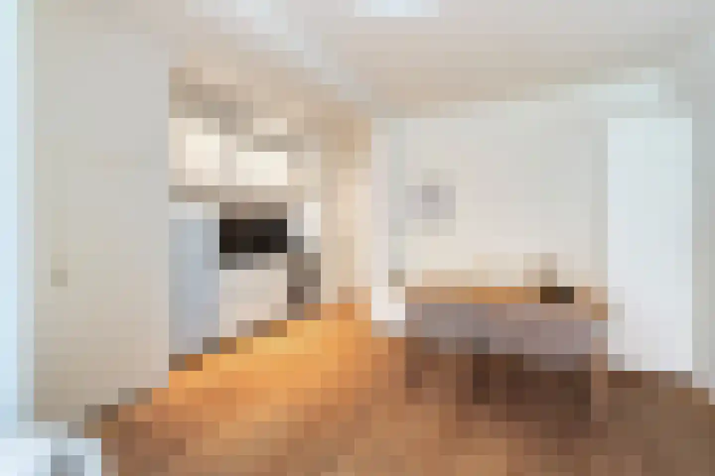 Da Costastraat 49 H Amsterdam thumbnail 11