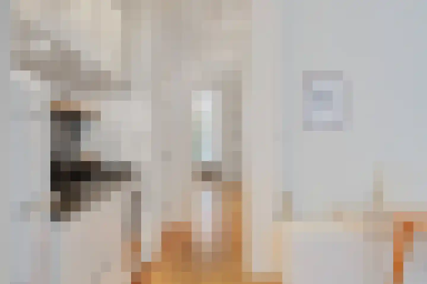 Da Costastraat 49 H Amsterdam thumbnail 14
