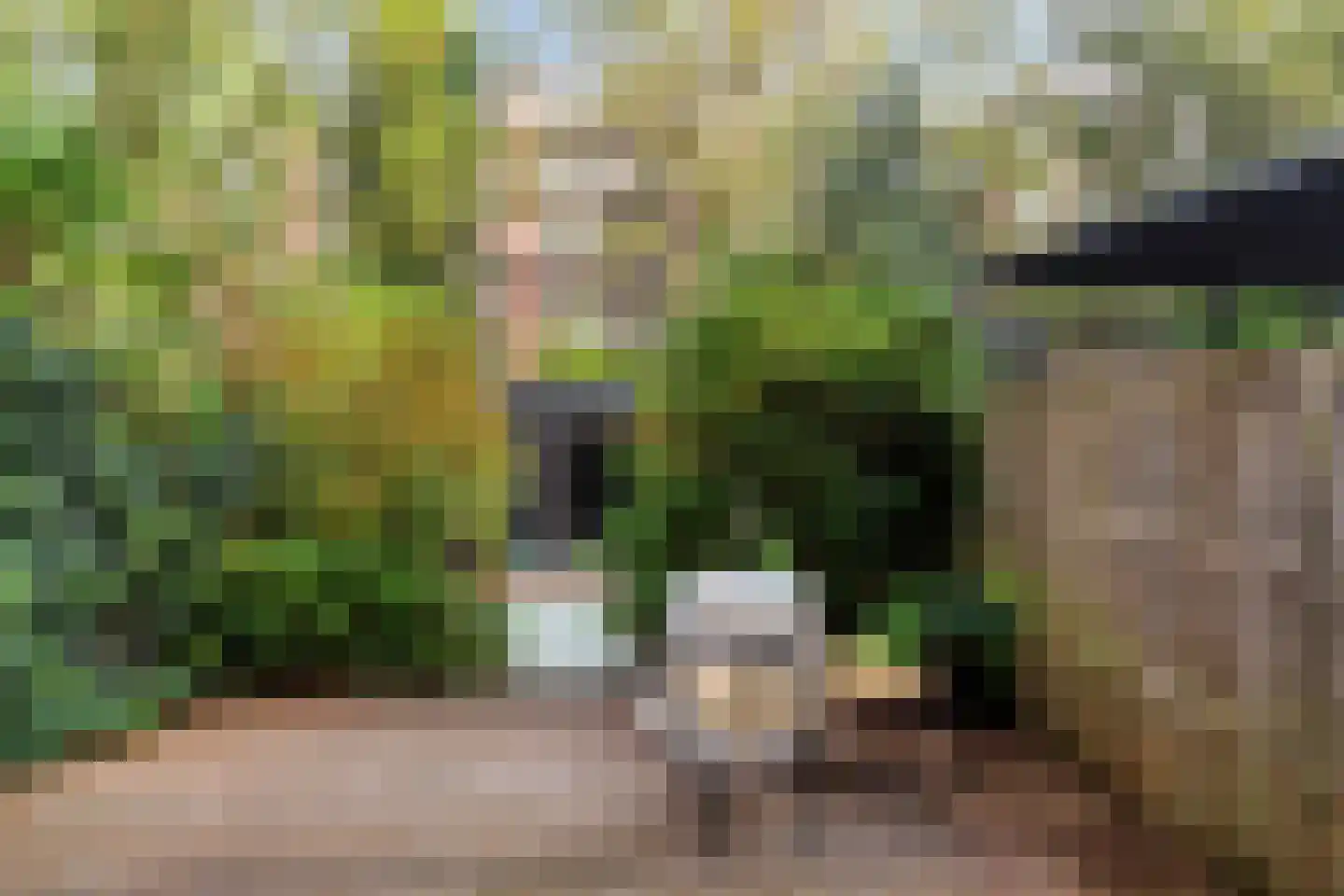 Da Costastraat 49 H Amsterdam thumbnail 38