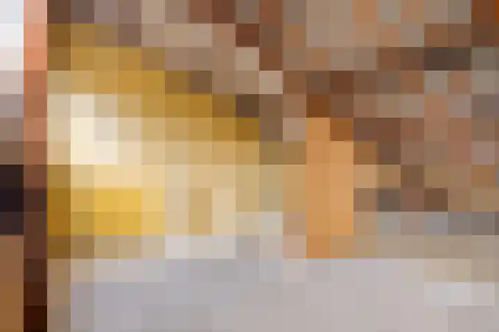 Da Costastraat 49 Oss thumbnail 18