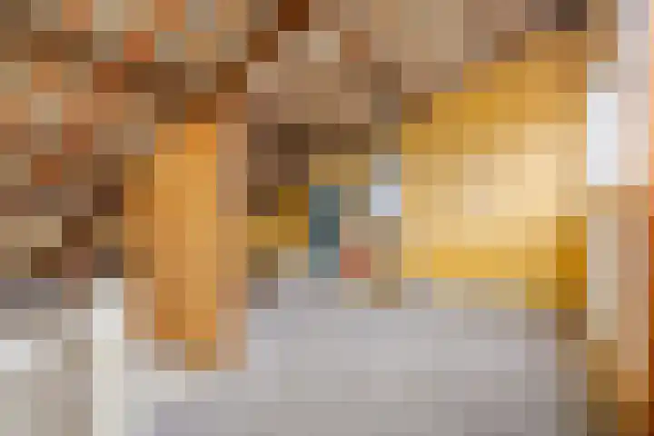 Da Costastraat 49 Oss thumbnail 19