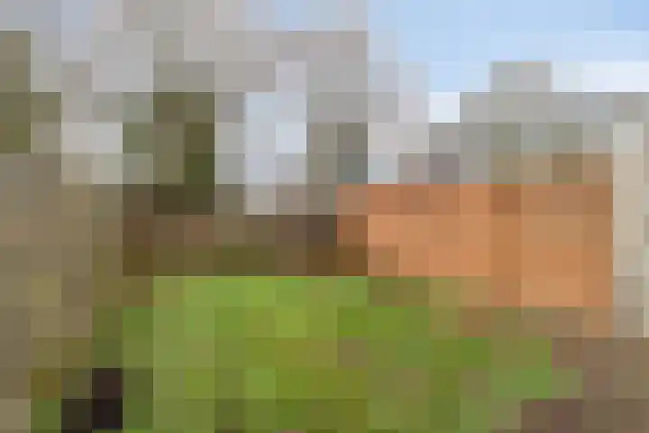 Da Costastraat 49 Oss thumbnail 22