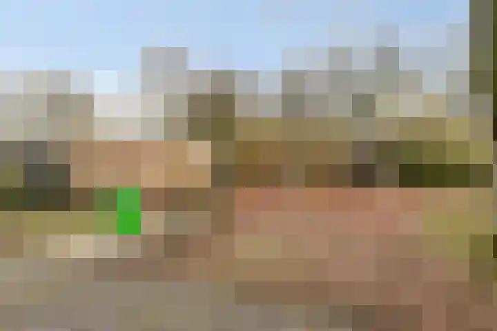 Da Costastraat 49 Oss thumbnail 25