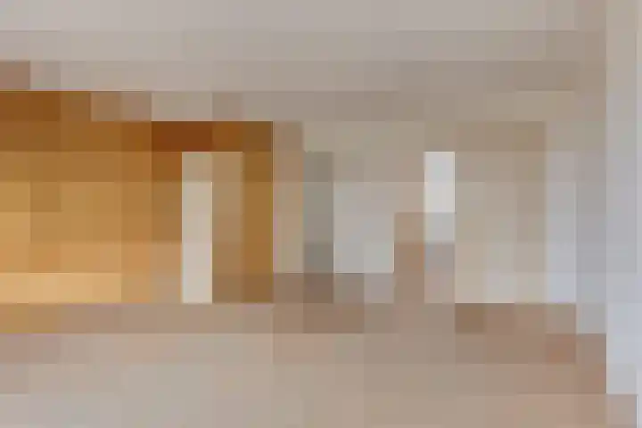 Da Costastraat 49 Oss thumbnail 6