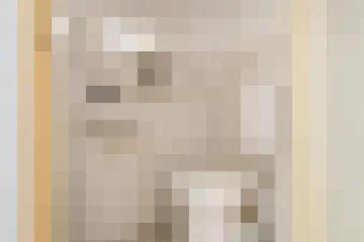 Da Costastraat 49 Oss thumbnail 8