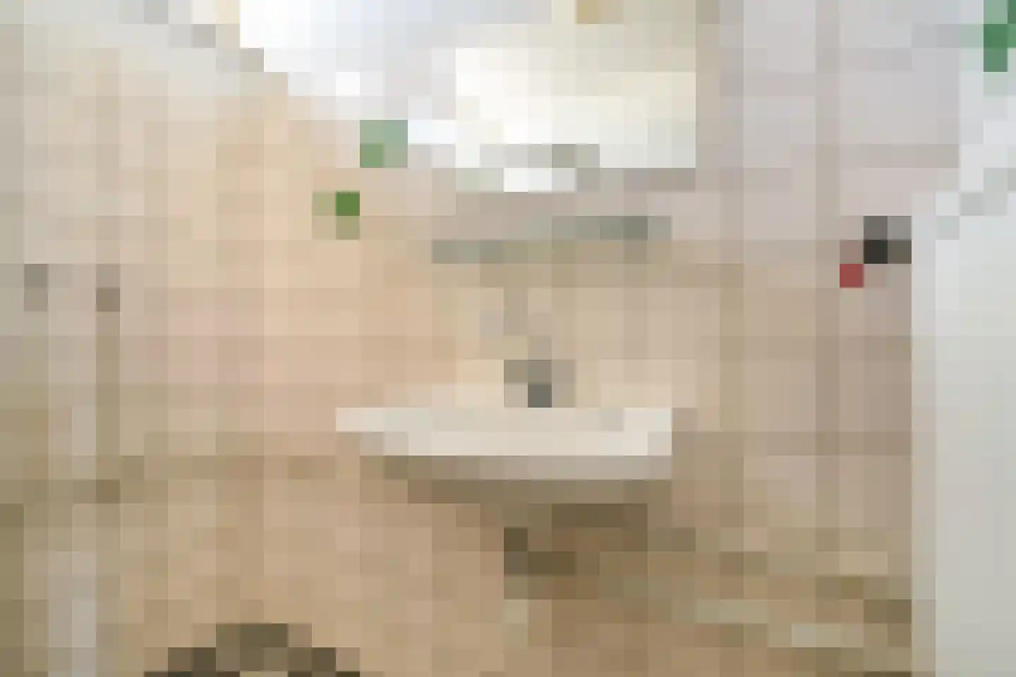 Da Costastraat 5 Alblasserdam thumbnail 31