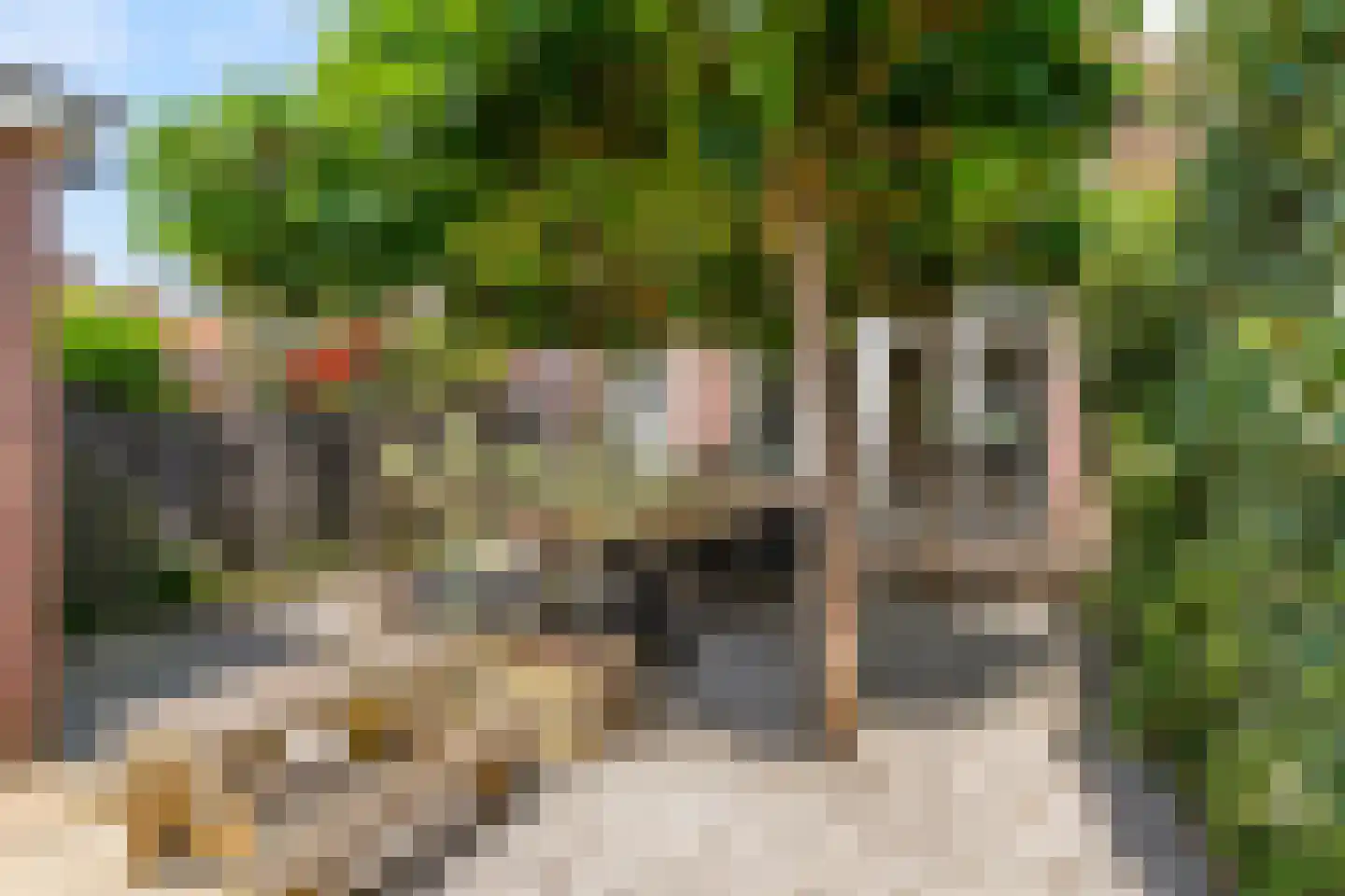 Da Costastraat 54 Alphen aan den Rijn thumbnail 31