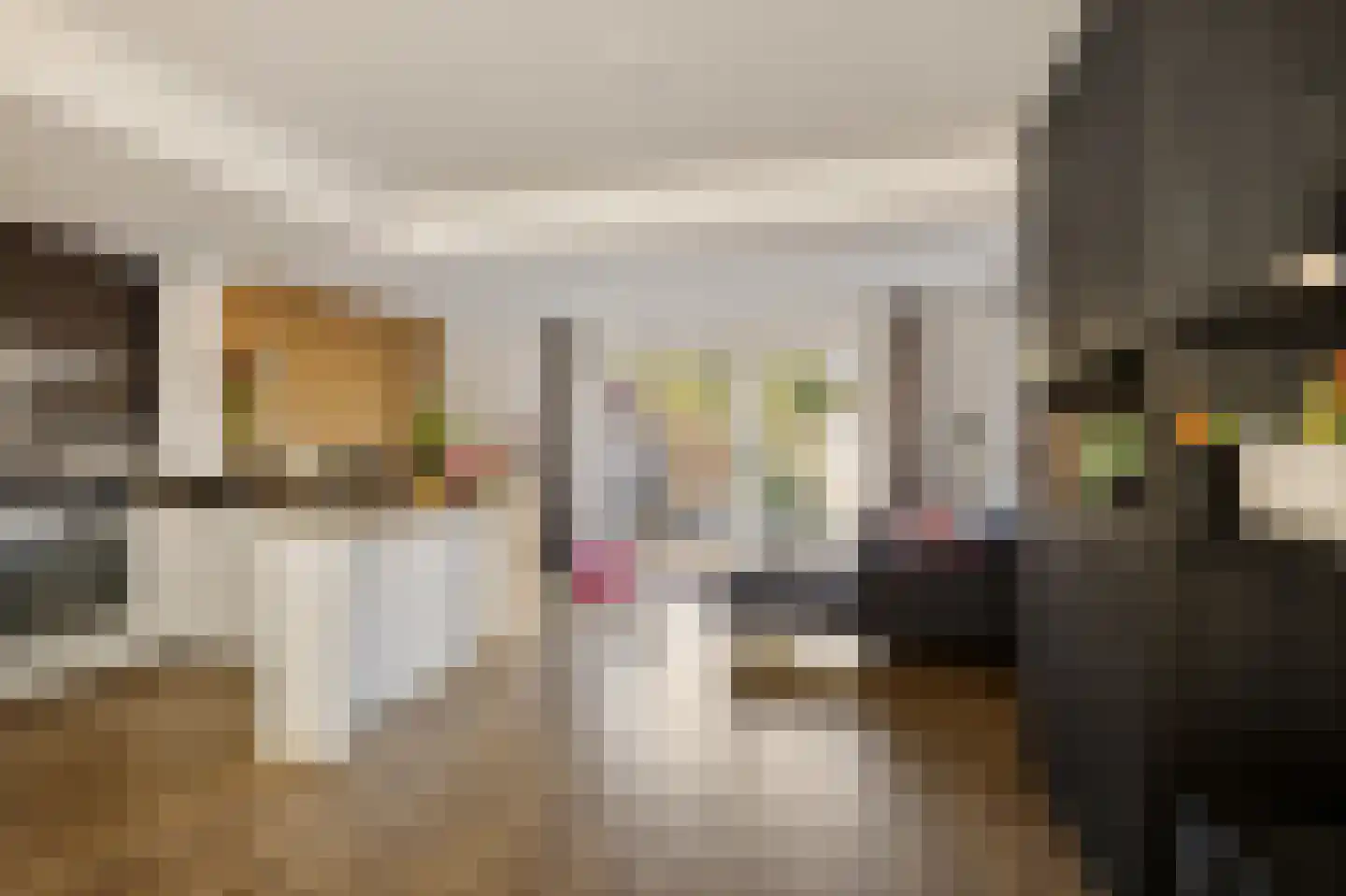 Da Costastraat 6 Hoogeveen thumbnail 10