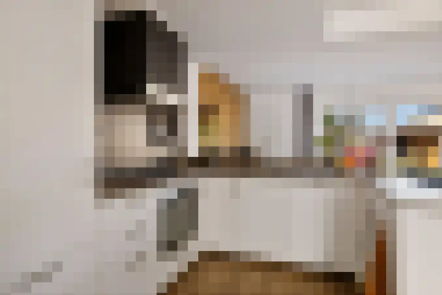 Da Costastraat 6 Hoogeveen thumbnail 12