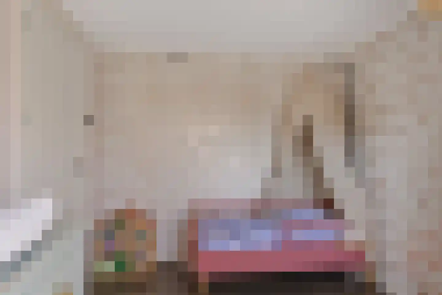 Da Costastraat 6 Hoogeveen thumbnail 26