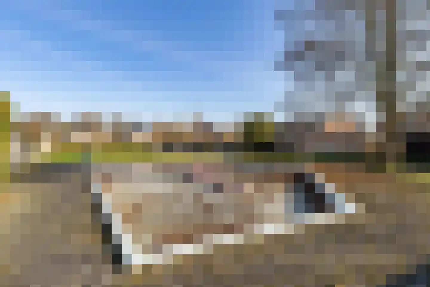 Da Costastraat 6 Hoogeveen thumbnail 47