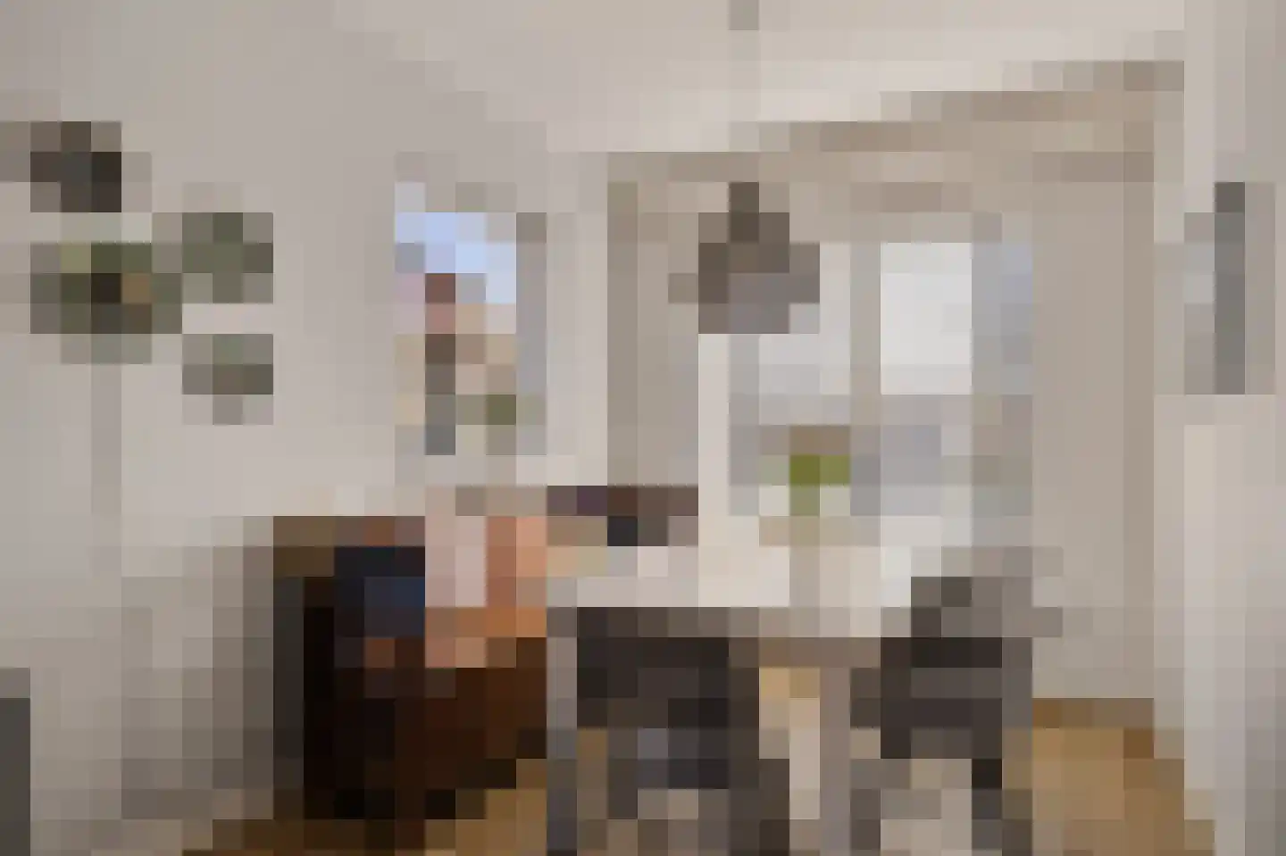 Da Costastraat 6 Hoogeveen thumbnail 7