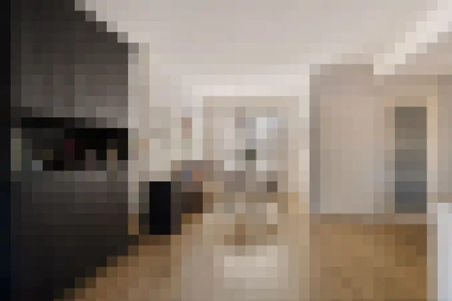 Da Costastraat 6 Hoogeveen thumbnail 9