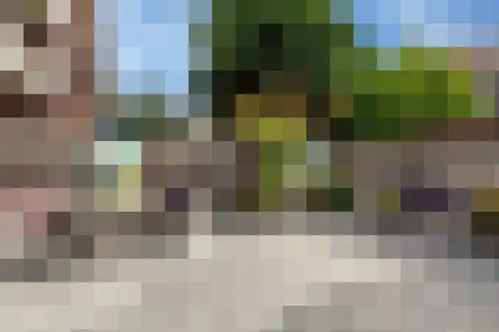 Da Costastraat 6 Schiedam thumbnail 20